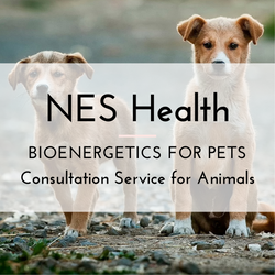 NES Health for Pets - Consultation with Scanner