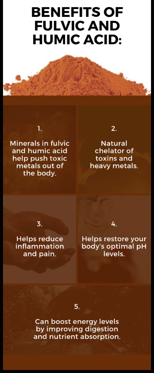 Citricleanse – Toxin Binder