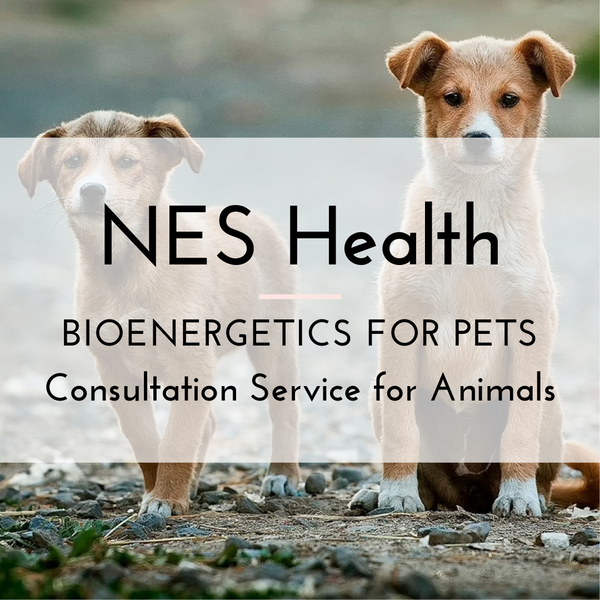 NES Health for Pets - Consultation with Scanner