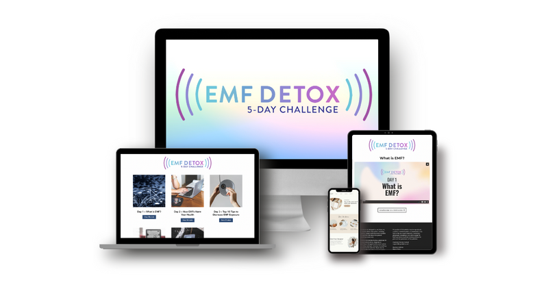 EMF Detox Program