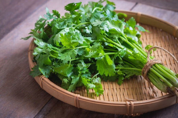 Fresh cilantro