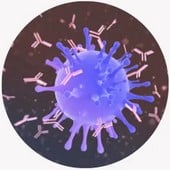 SIGNIFICANTLY BOOST IMMUNITY