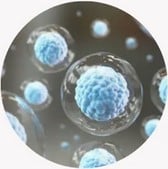 BOOST CELLULAR HEALTH AND VITALITY
