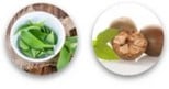 Natural Sugar-Free Sweeteners