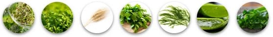 Detox & Anti-Aging Blend